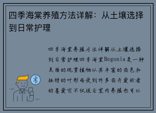 四季海棠养殖方法详解：从土壤选择到日常护理